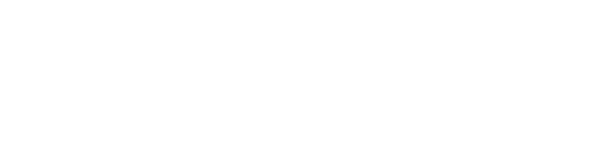 Fluent Edge Solutions